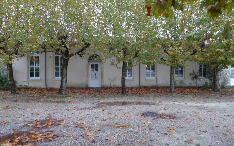 Laboratoire - Bègles (33)